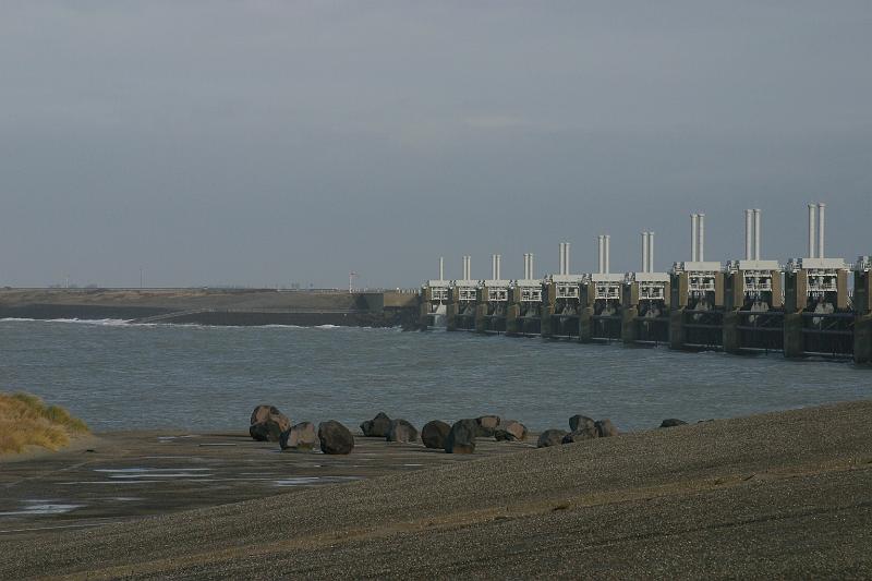 2012-01-21 13-00-03 Ludo.JPG